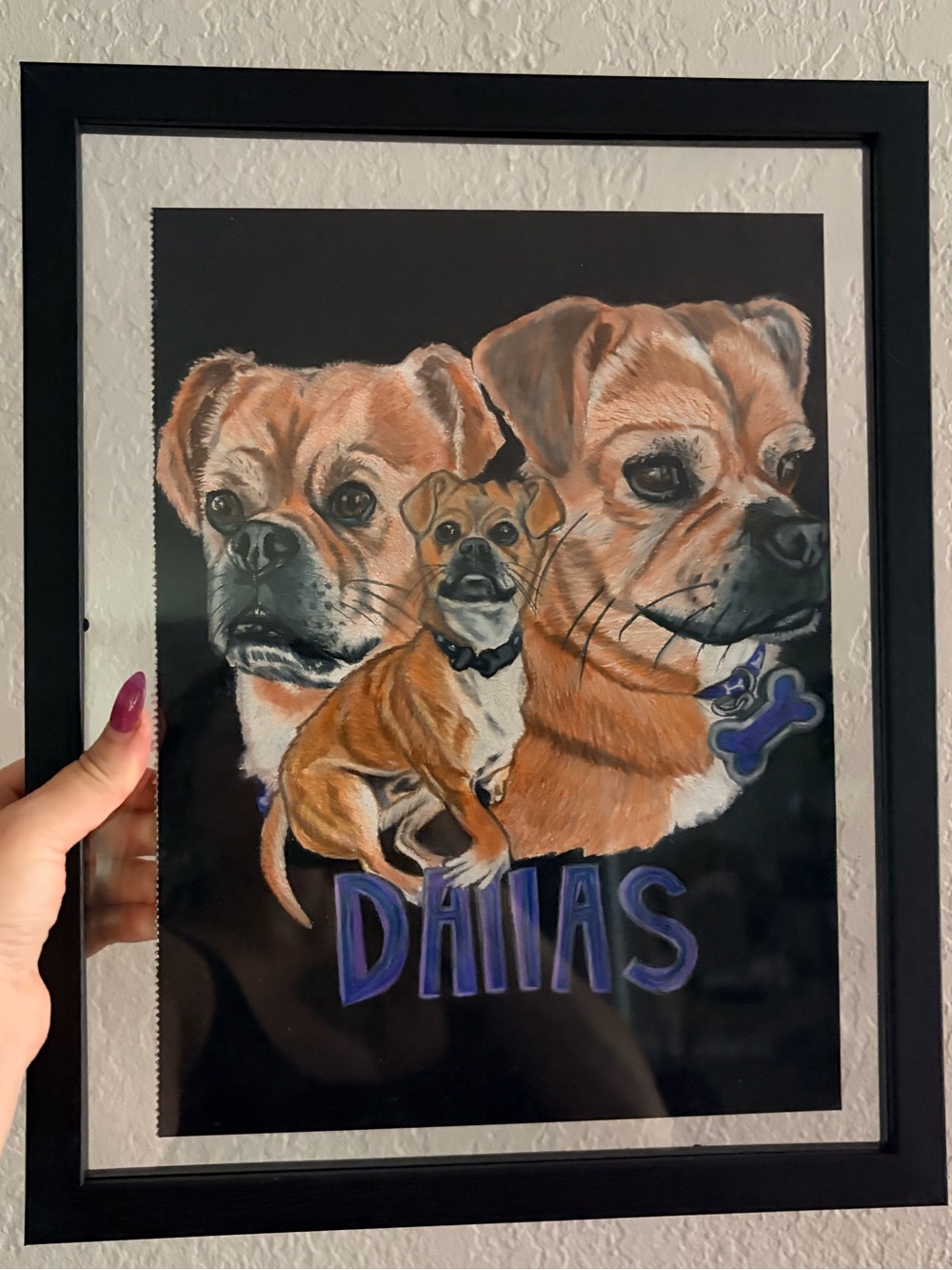 Paws & Purses Gift Bundle - Assorted Dog Collection - Picture 3 of 3